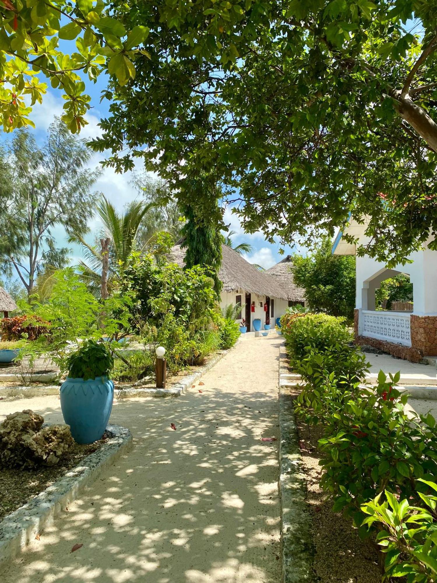 White Star Ocean View Hotel Paje Esterno foto
