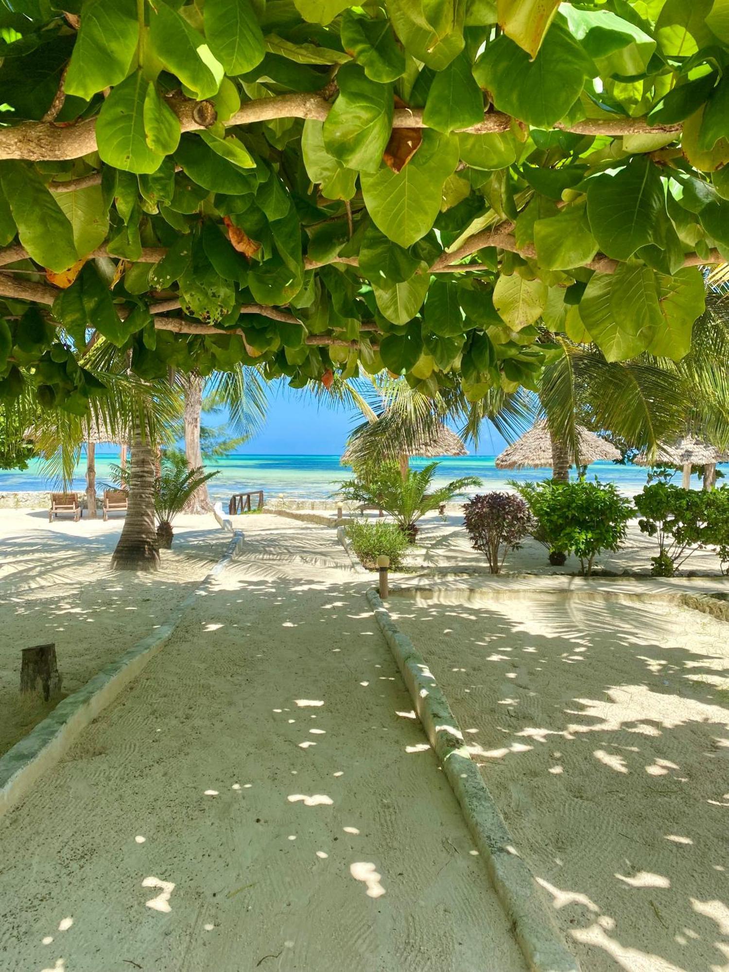 White Star Ocean View Hotel Paje Esterno foto