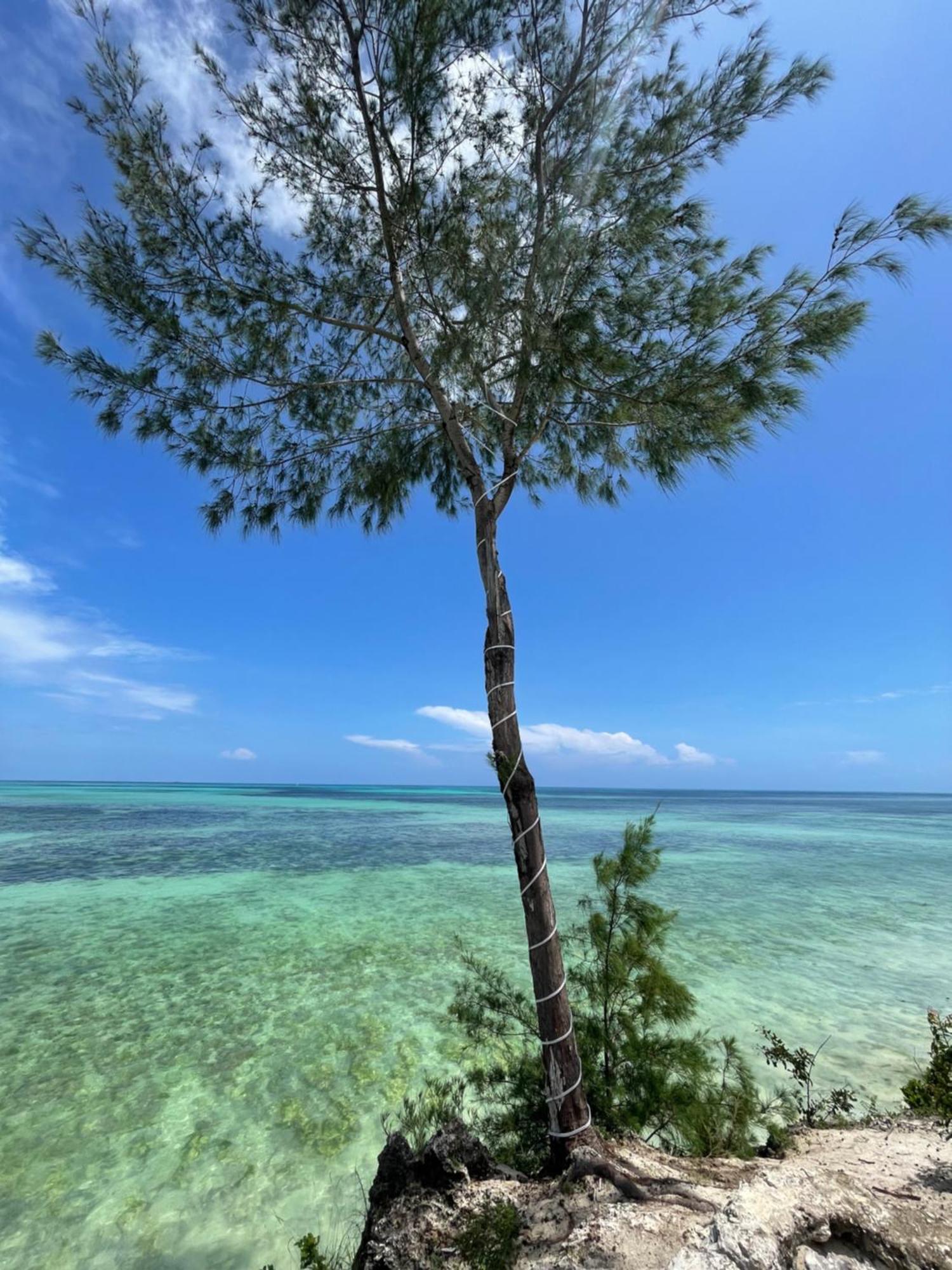 White Star Ocean View Hotel Paje Esterno foto